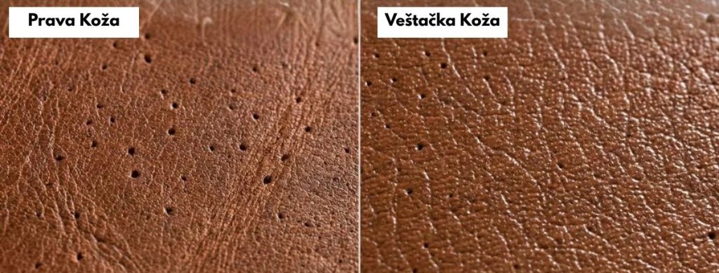 prava vs vestacka koza 1 e1784559172462
